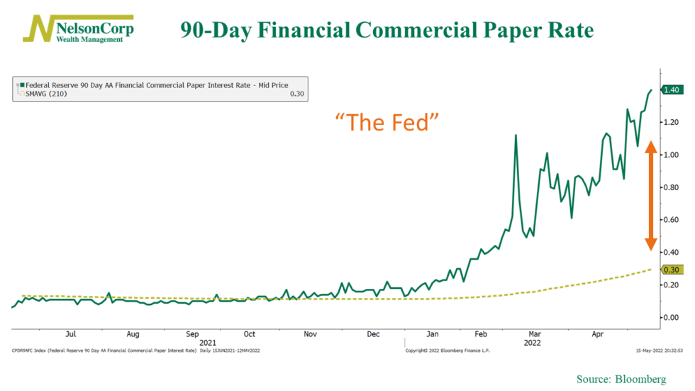 Don’t Fight the Fed or the Tape | NelsonCorp Wealth Management